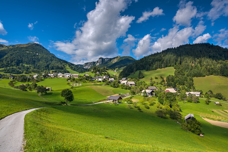 moving services Moving